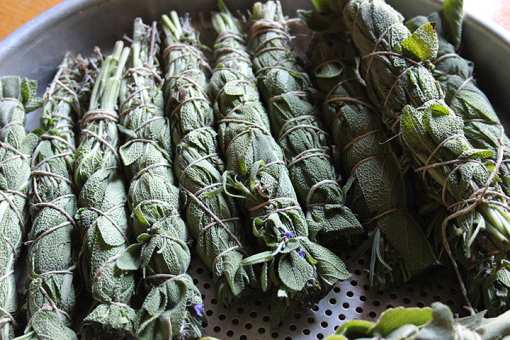 8 Best Holistic and Health Food Stores in South Dakota